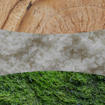 WHITE TEAK